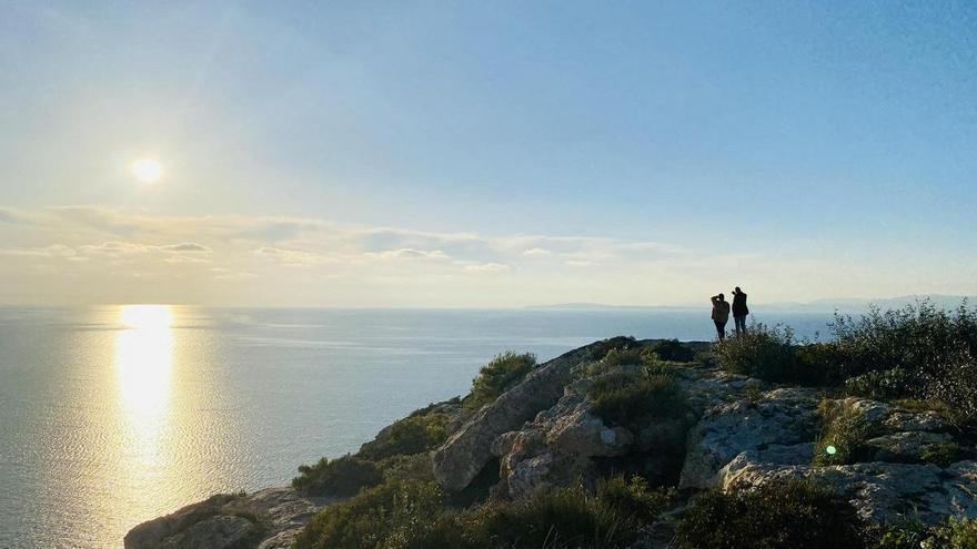 Kein Regen, frühlingshafte Temperaturen: Das Winterwetter kehrt vorerst nicht nach Mallorca zurück