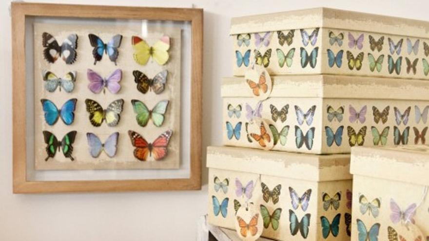 Mariposas y libélulas llenan los distintos rincones de tu hogar esta primavera