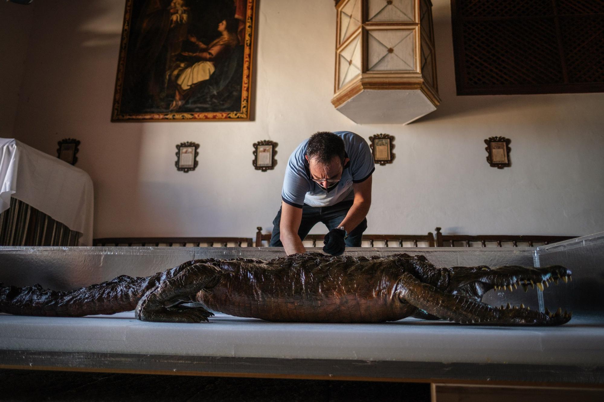 Traslado de la Virgen y el caimán de Las Angustias