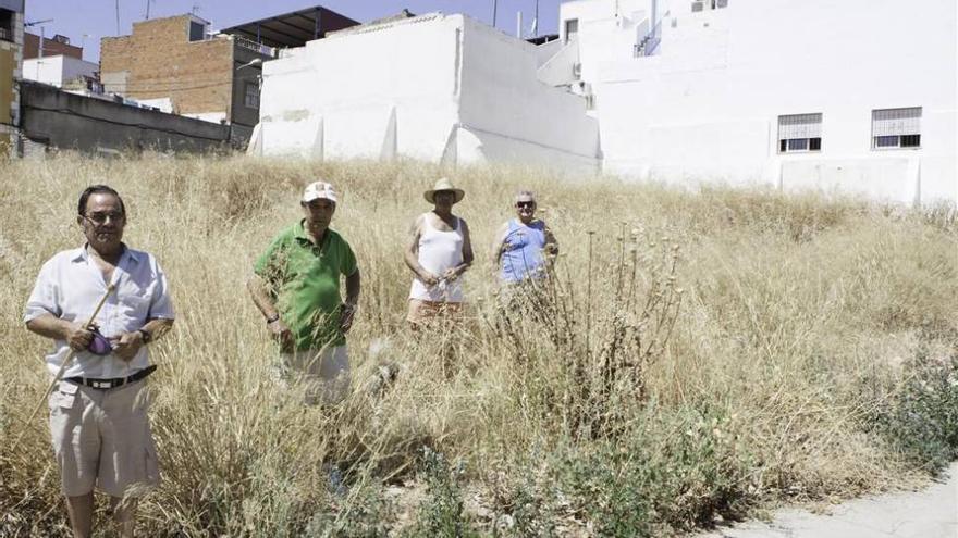 Vecinos de Cerro de Reyes de Badajoz piden que limpien el cauce de los arroyos y solares vacíos