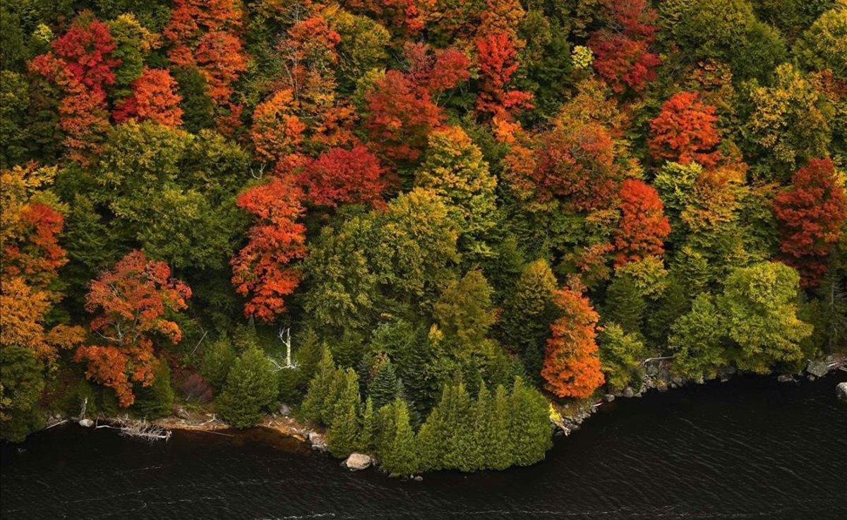 Colores de otoño en la vegetación junto al lago Lower Ausable, en el valle de Keene, en el estado de Nueva York.