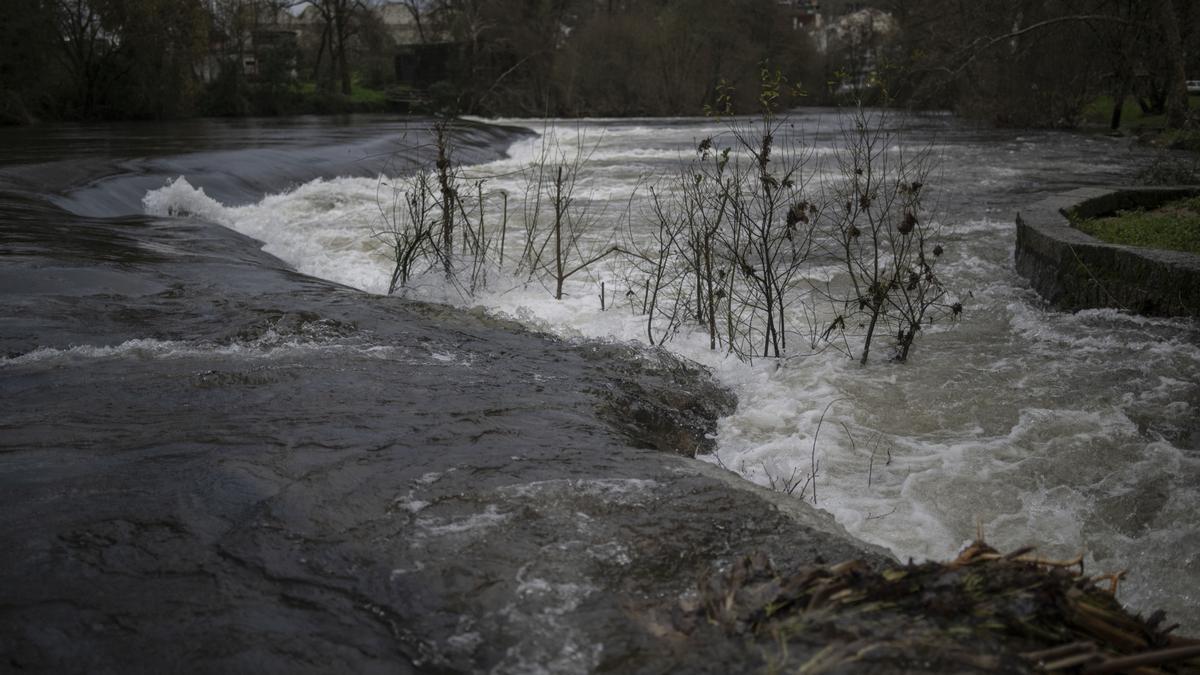 Caudal del río Avia a su paso por Ribadavia (Ourense).