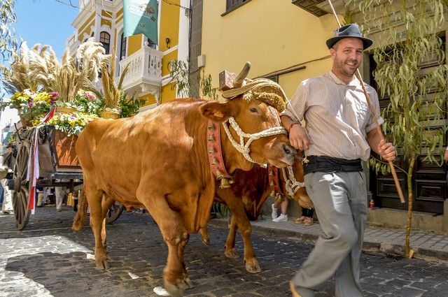 Procesión y romería de la fiesta de Las Marías