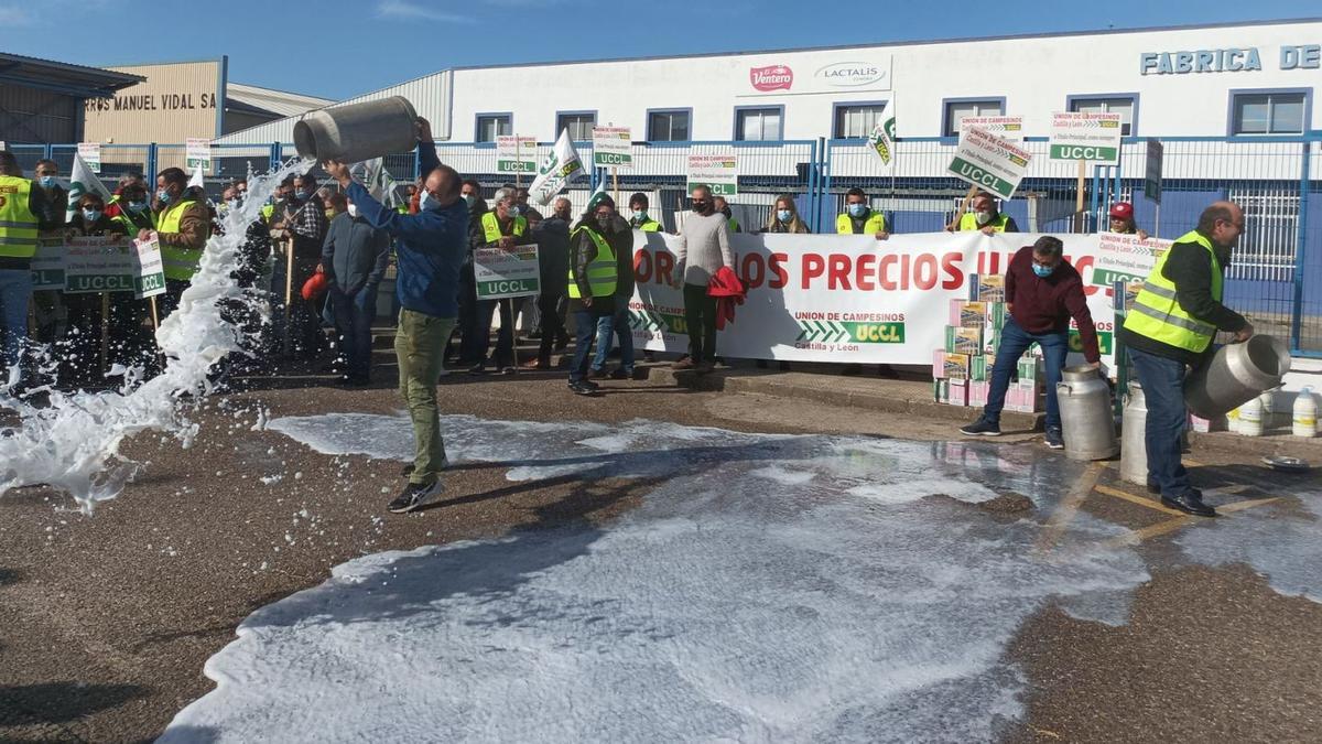 Protesta de la UCCL en Zamora, donde los ganaderos tiraron leche a las puertas de Lactalis para escenificar lo barato que paga el producto. | Ana Burrieza