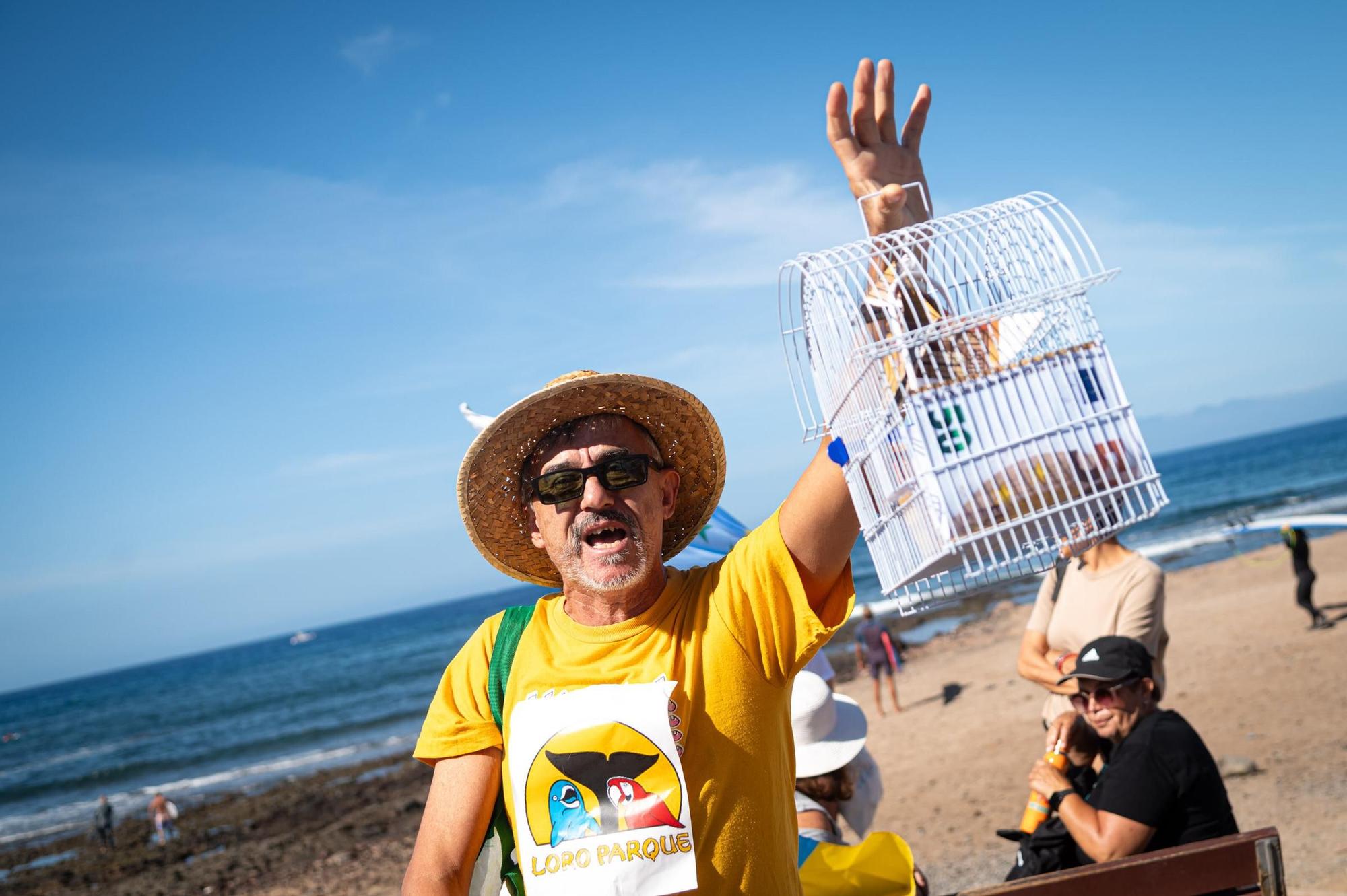 Todas las imágenes de la manifestación del 20-O en Tenerife