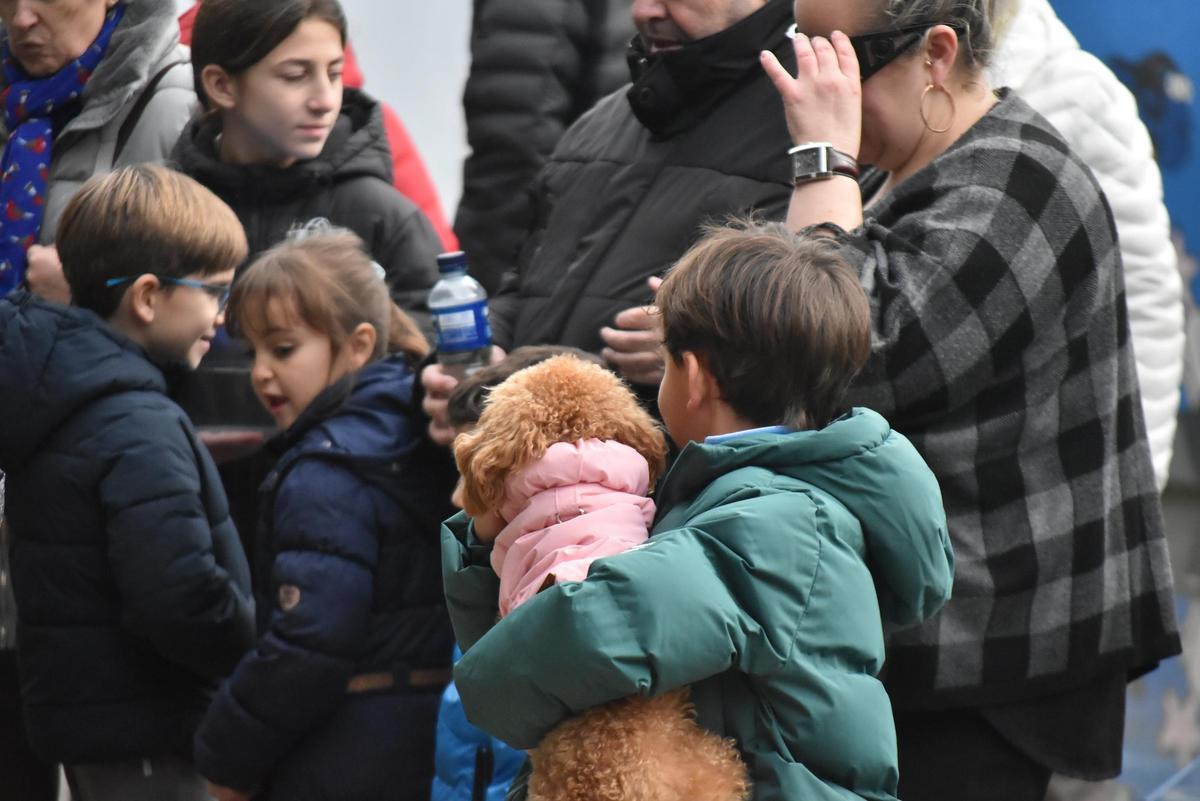 Fotogalería | Así ha sido la celebración de San Antón en el colegio San Antonio de Cáceres