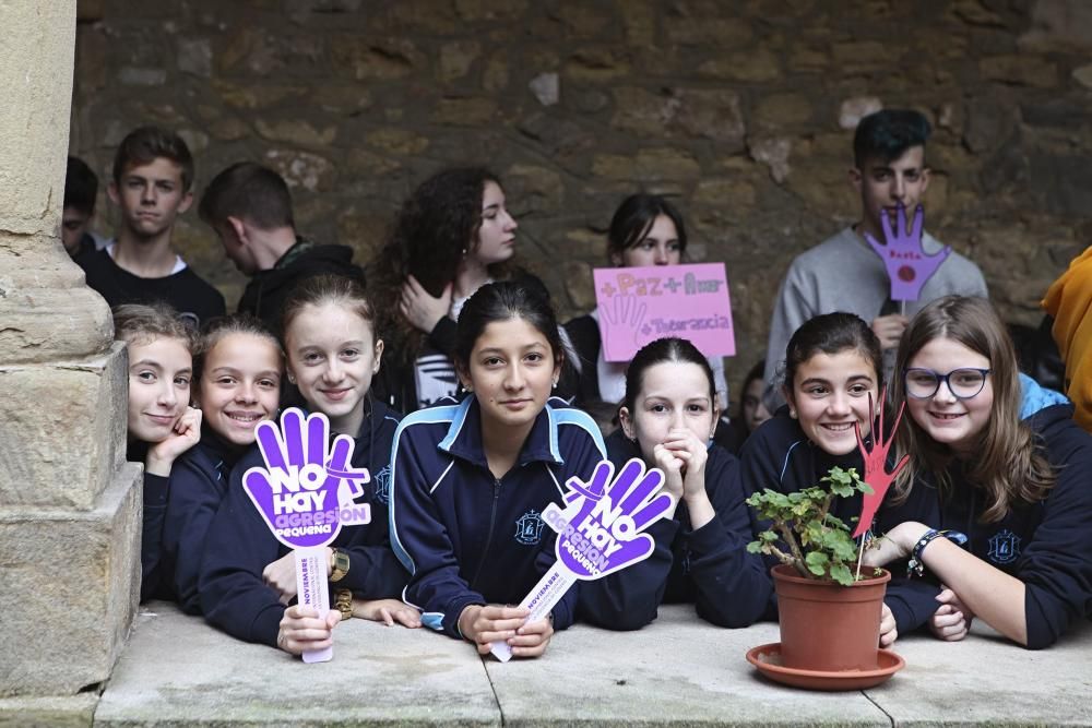 Colegios de Gijón contra la violencia de género.