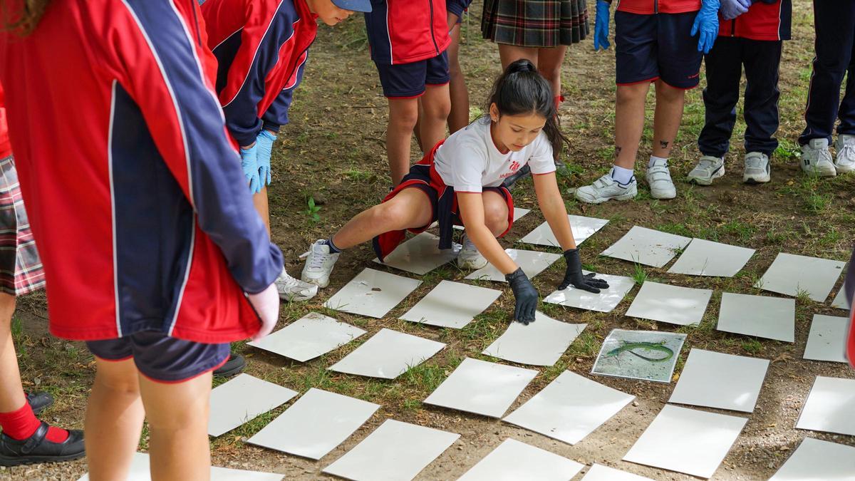 Escolares participando nunha das actividades de 'Comprométete cos ODS'.