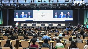 Guterres: Llegar a un acuerdo en la COP29 era esencial para frenar el calentamiento global