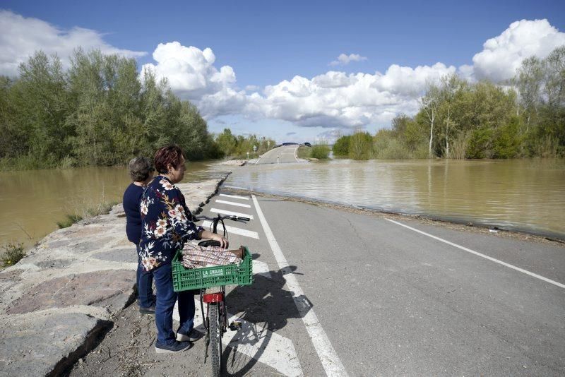 Movilización contra la crecida del Ebro en Luceni, Boquiñeni y Novillas
