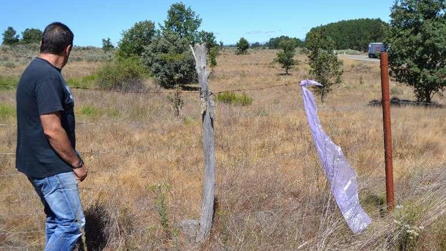 José Baladrón muestra una de la fincas de Villanueva de Valrojo.