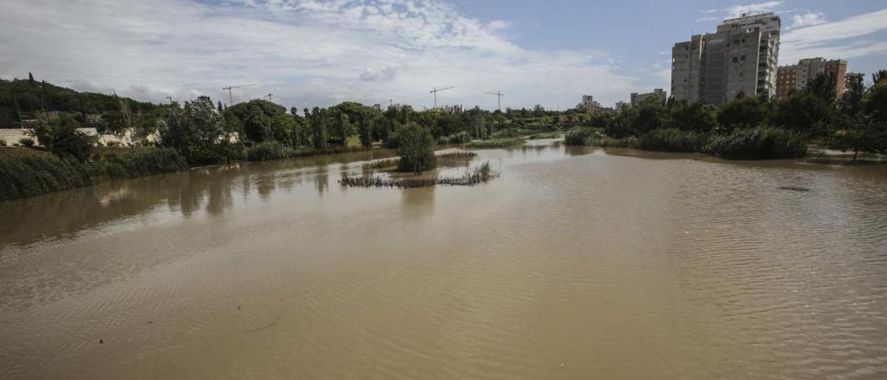 Récord del parque inundable La Marjal en Alicante