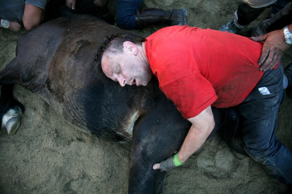 Más de quince "aloitadores" raparon a cerca de 200 caballos en el primer curro de Sabucedo