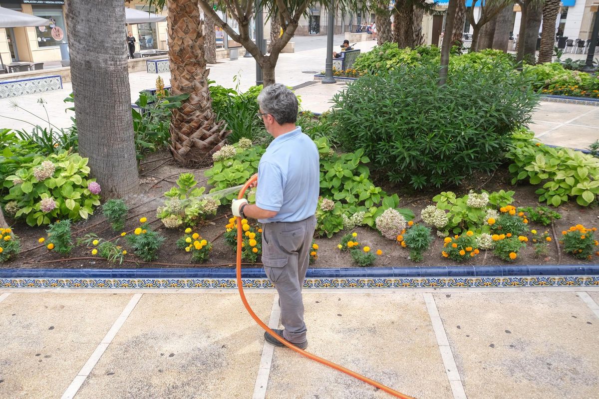 Una jardinero regando plantas en la Glorieta de Elche