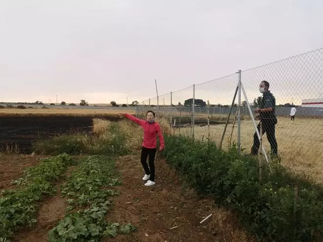 La lluvia apaga el incendio provocado por un rayo junto a la fábrica de Frinca
