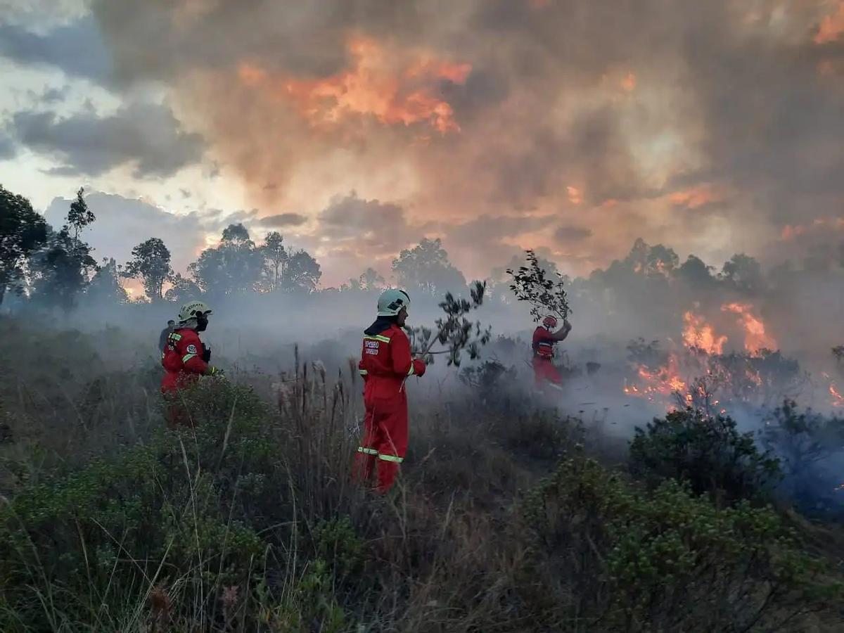 Bomberos extinguiendo un incendio en la Amazonía peruana