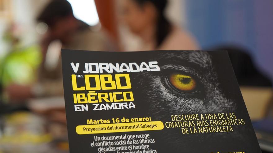 Unas jornadas reivindican al lobo como “patrimonio natural” de Zamora