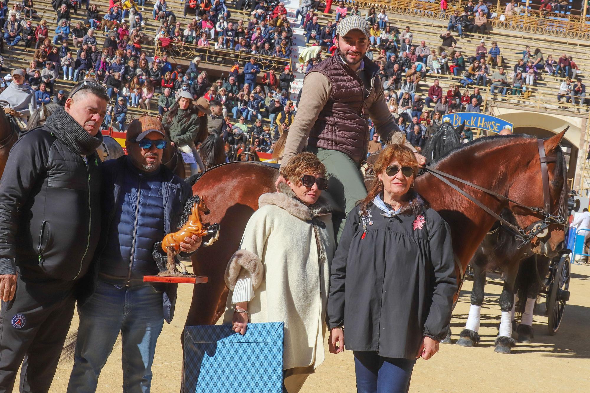 Concurso ecuestre y Bendición de animales por San Antón en Alicante