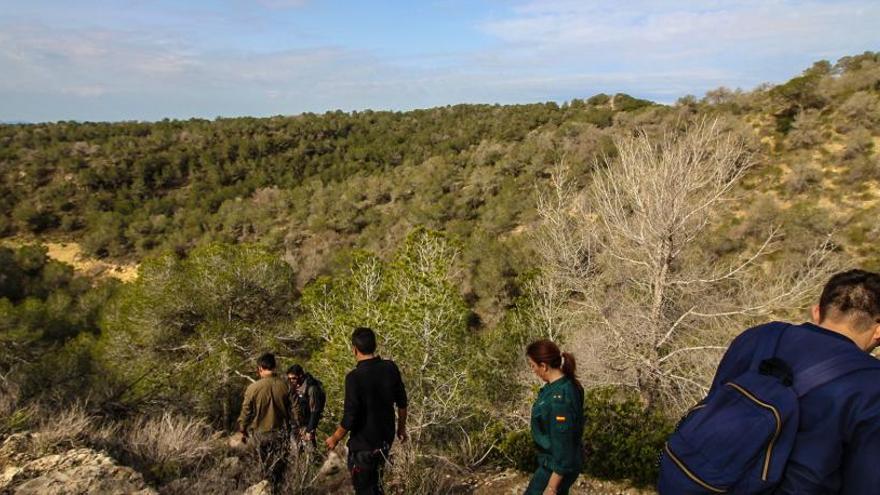 Imagen de las pinadas de Sierra Escalona donde crían numerosas especies de aves rapaces