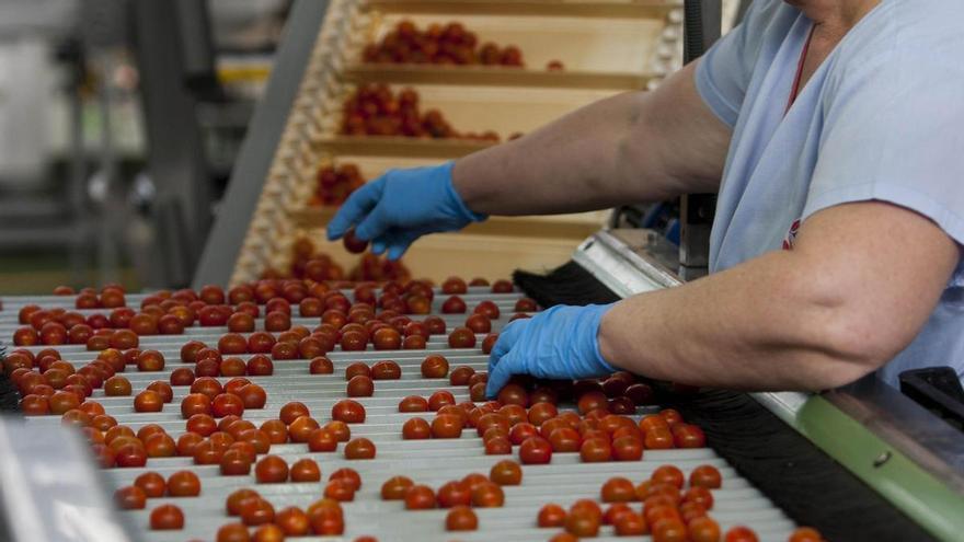 Bonny dice adiós al tomate redondo