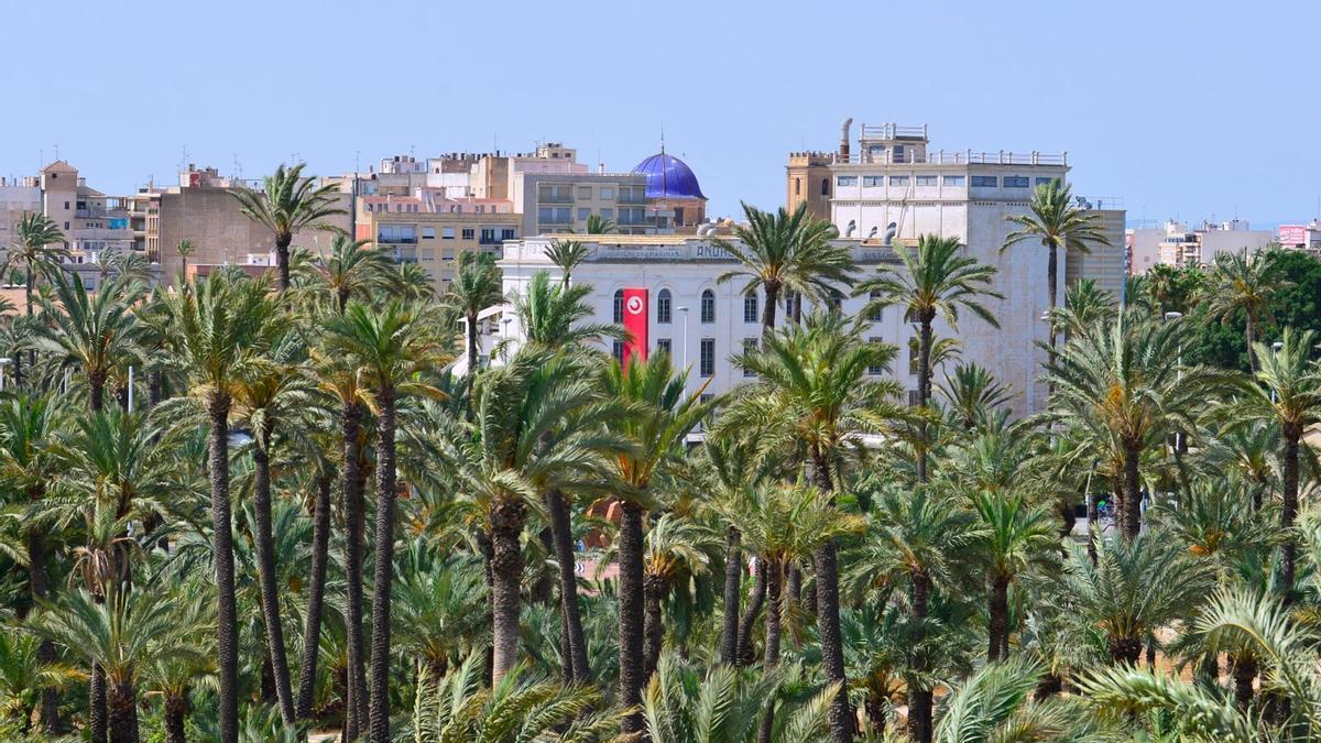 Así es el vídeo con el que el Palmeral de Elche celebra sus 25 años de Patrimonio de la Humanidad