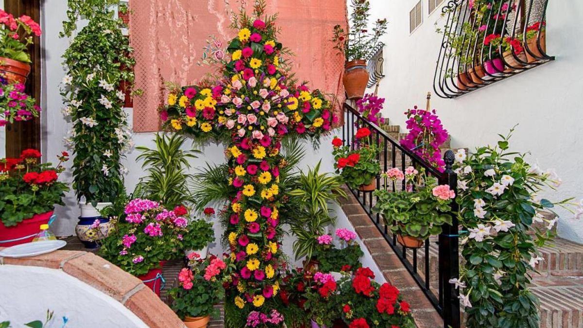 El ingenio de Frigiliana abrirá sus puertas al público el Día de la miel de caña.
