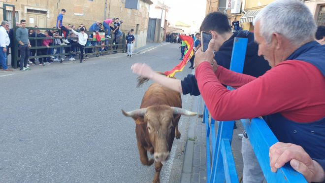 GALERÍA | El encierro en La Bóveda de Toro, en imágenes