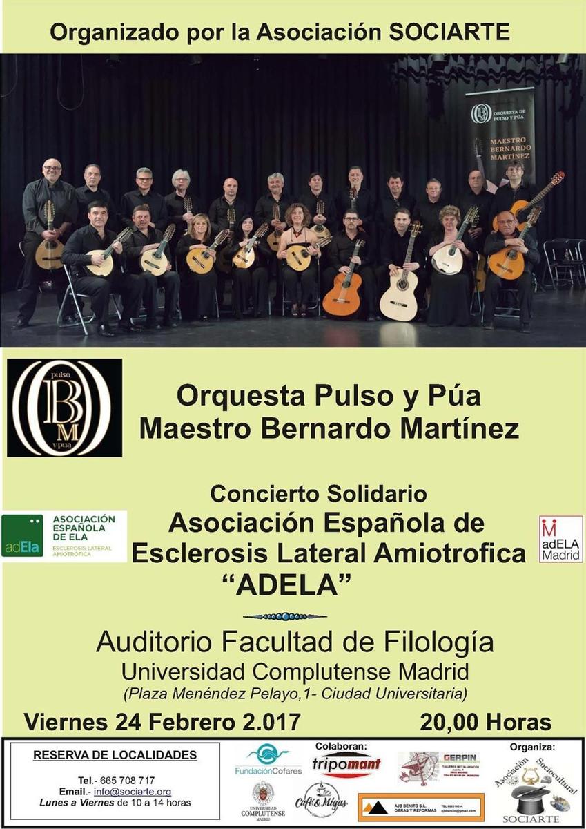 Concierto solidario de la Orquesta Pulso y Púa Maestro Bernardo Martínez
