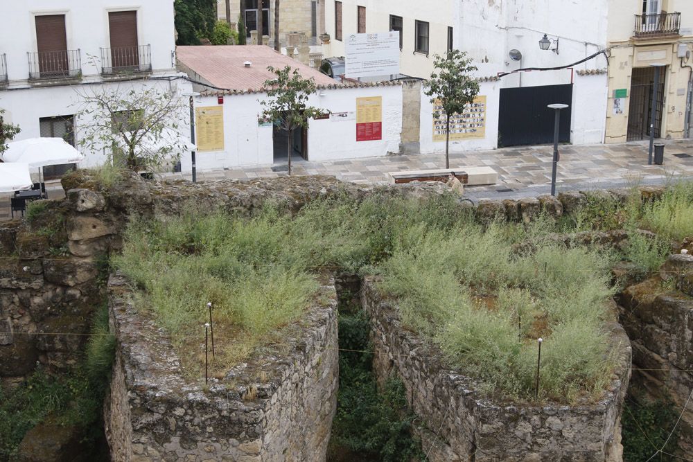 Estado de abandono del Templo Romano