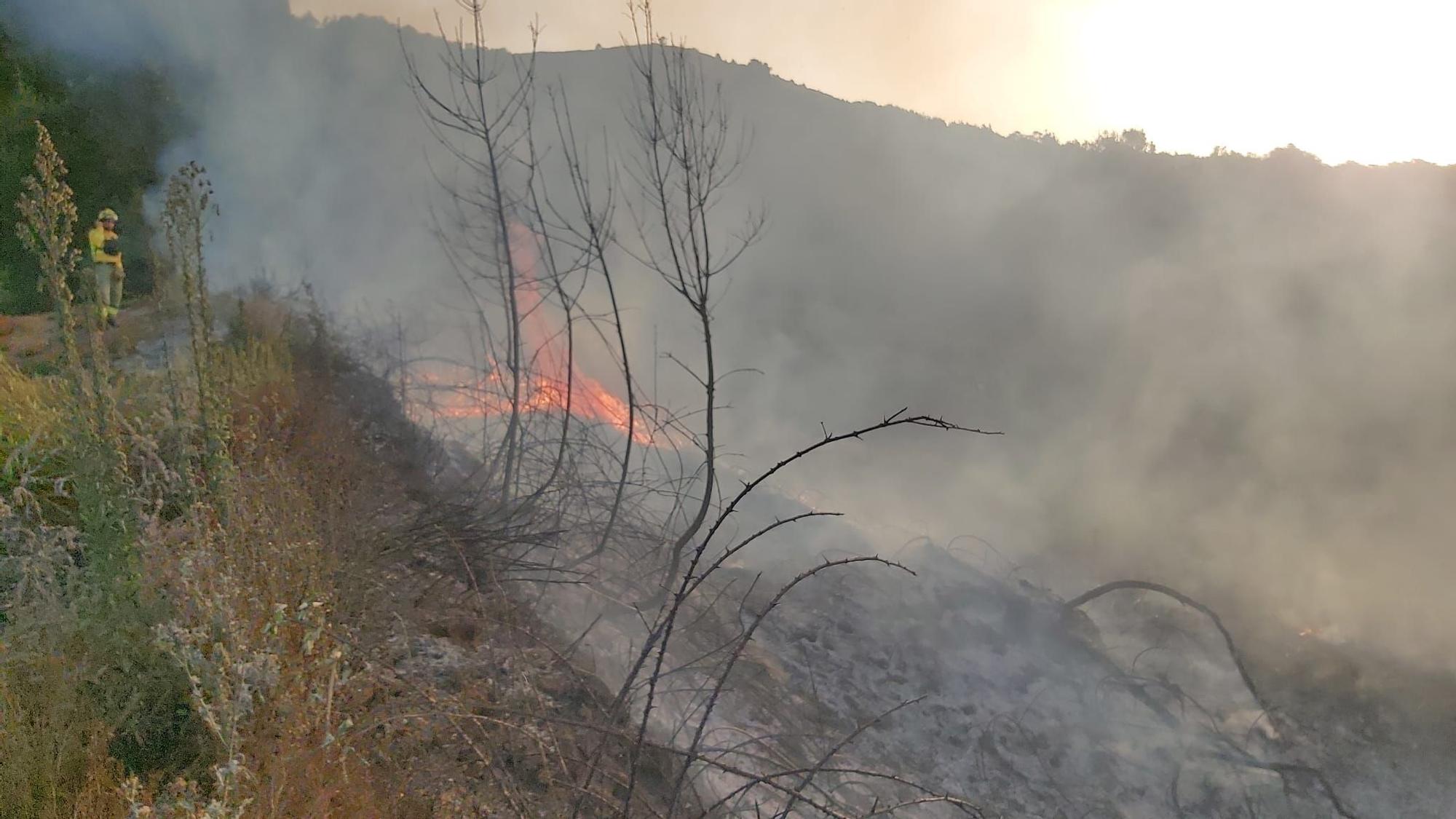 Conato de incendio en Cerrogordo, Icod de los Vinos.