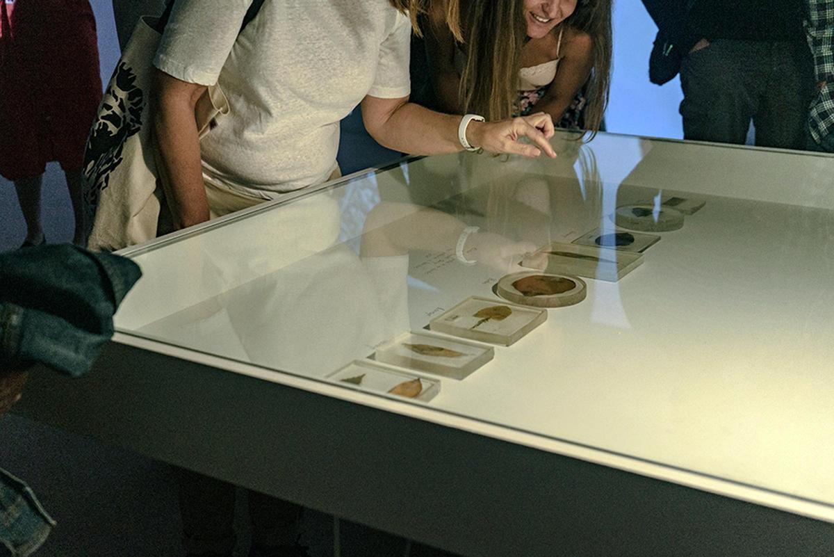 Obras realizada con hojas de Almudena Romero en el Open Art del año pasado.