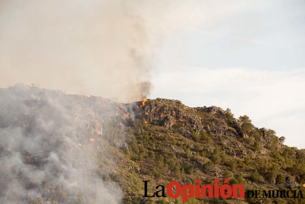 Incendio Sierra del Molino