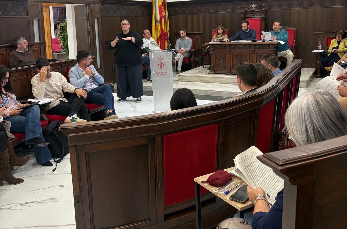 Un momento de la sesión plenaria de este jueves.