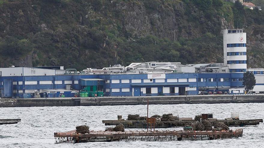 Pescanova encara su venta con un déficit de 145 millones en inversiones