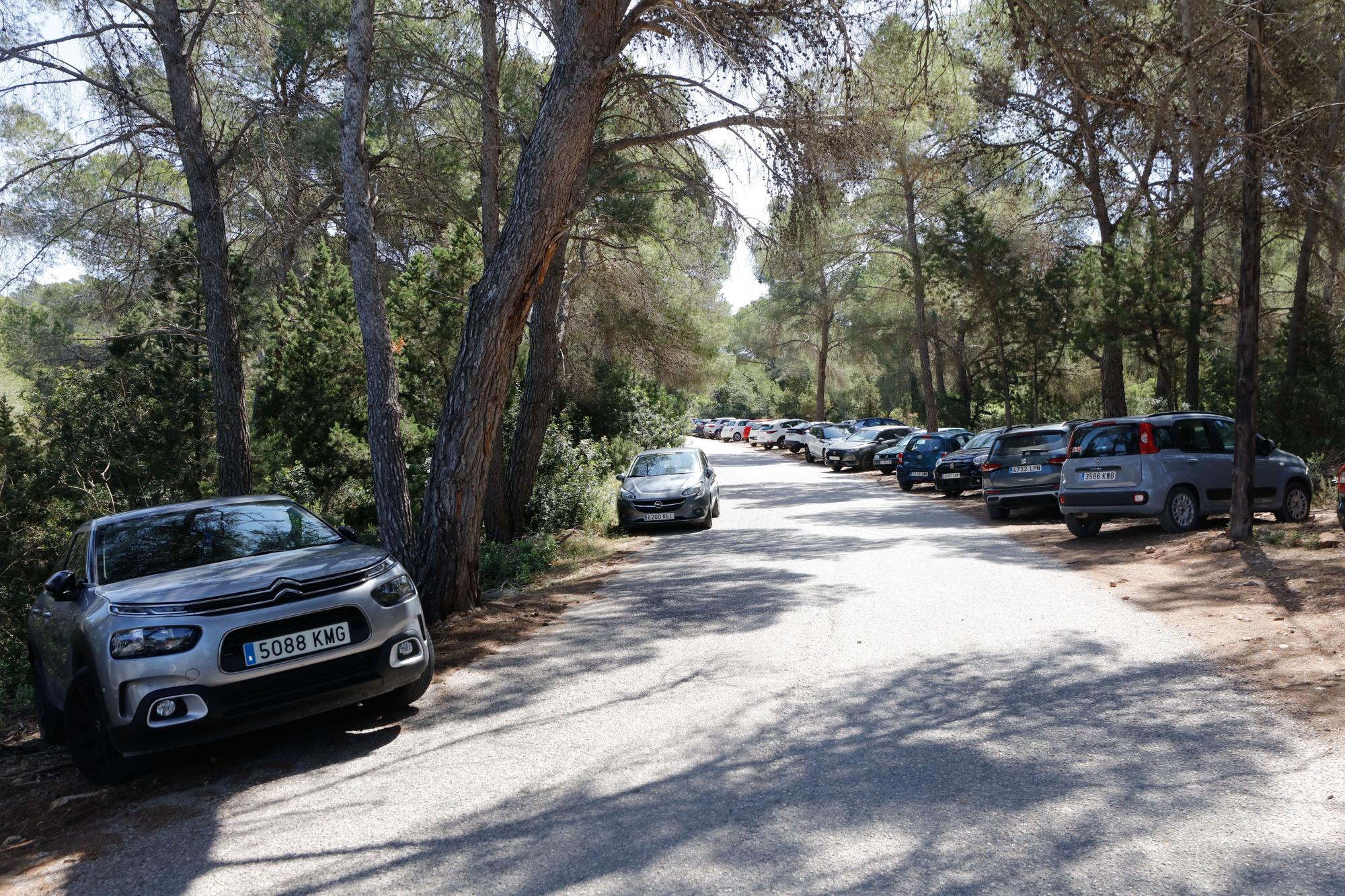 Primer día del servicio de autobús a Cala Salada