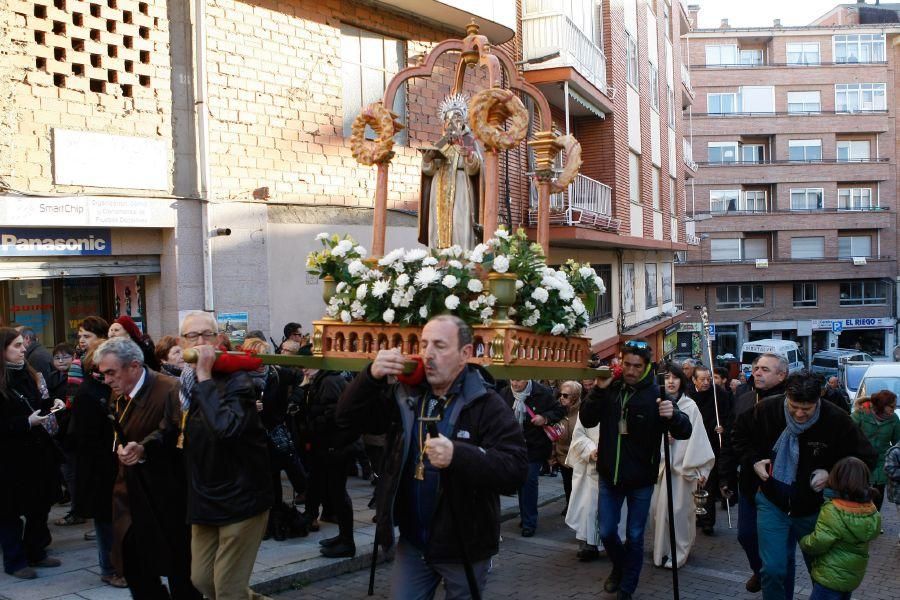 Los perros gobiernan por san Antón en Zamora