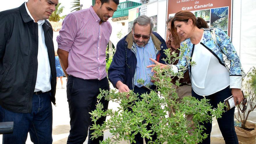 La alcaldesa, Carmen Hernández, junto a los concejales y el director adjunto del jardín botánico, Juan Manuel López