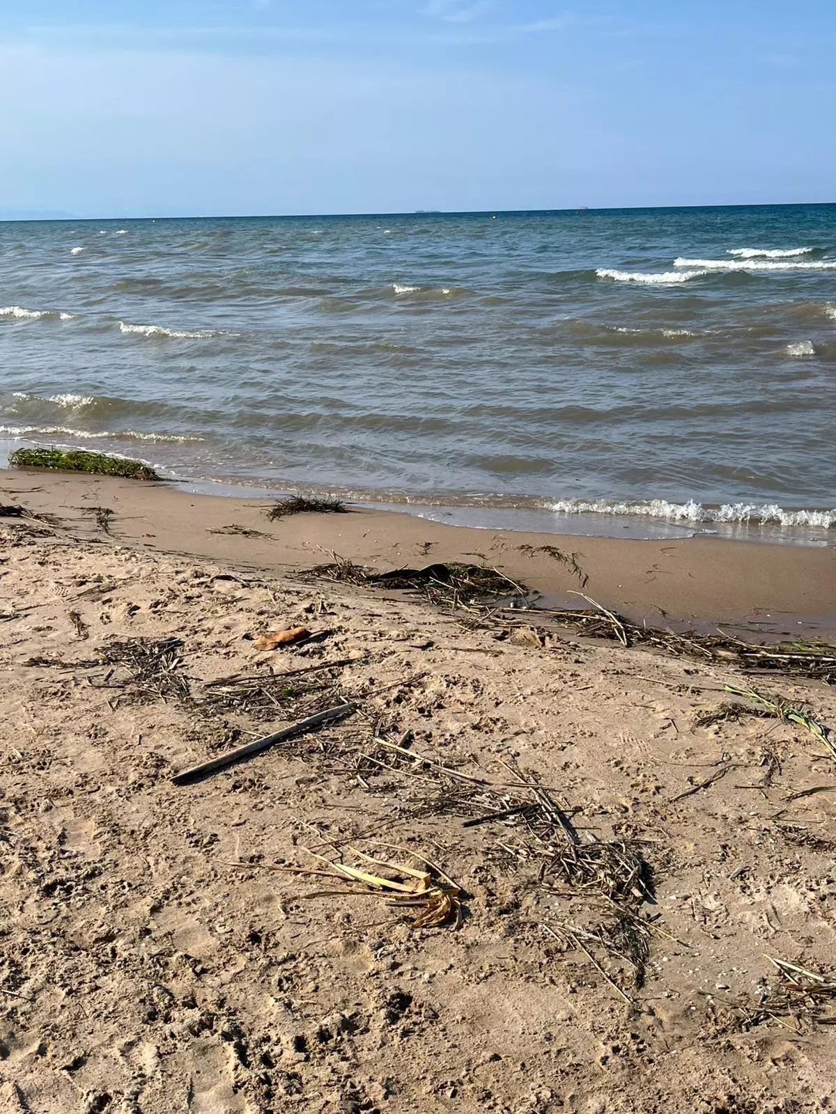La playa de Motilla reabre al baño en Sueca tras cinco días cerrada por contaminación