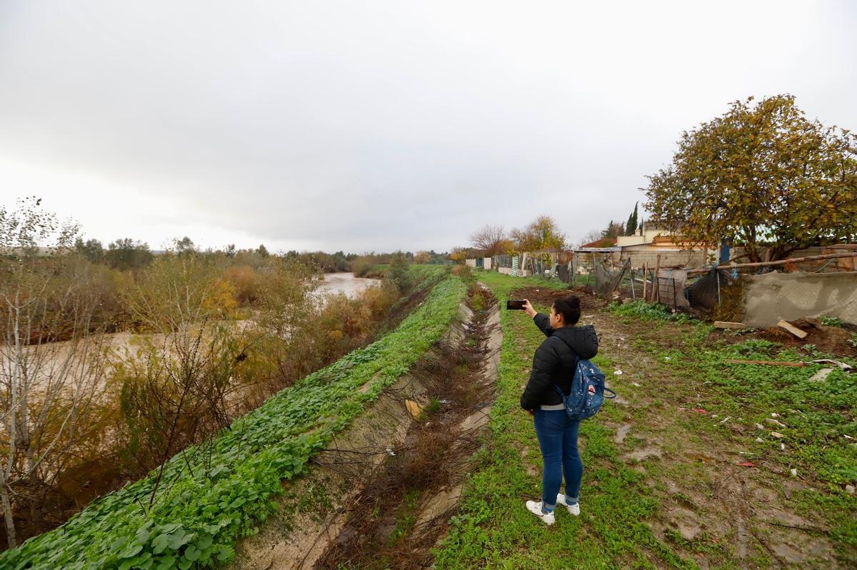 Estado que presenta el río a su paso junto a las parcelas pegadas al aeropuerto.