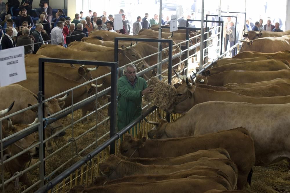 Fiestas de La Pontona en Pola de Laviana