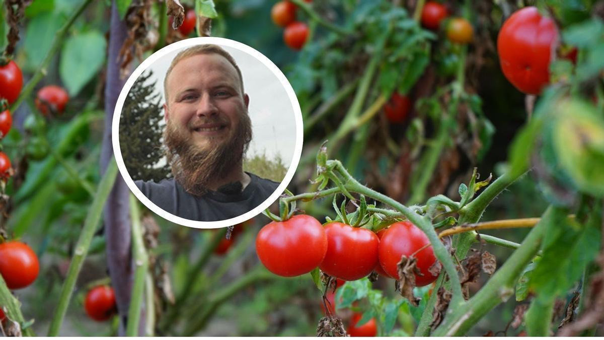 Javier Sopesens, ingeniero agrónomo, habla sobre el sabor de los tomates en una reciente entrevista