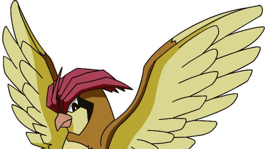 Pidgeotto.