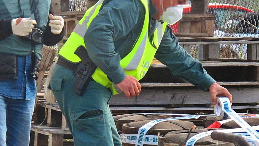 La Guardia Civil en la desarticulación del taller en la zona de Tábara. | Cedida