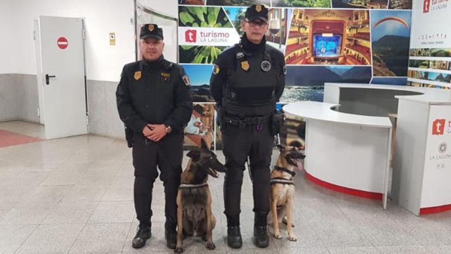 Agentes y perros de la Subunidad canina de la Policía Local de La Laguna en el Intercambiador de Transportes de La Laguna el pasado fin de semana.
