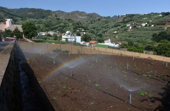 VERANO MADREELAGUA