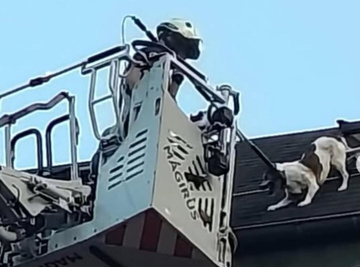El instante del rescate de "Markus".