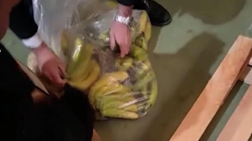 Intervenidos en el puerto de Málaga 600 kilos de cocaína ocultos entre plátanos