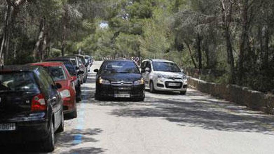 El Govern prevé un máximo de 1.500 plazas de aparcamiento en es Trenc