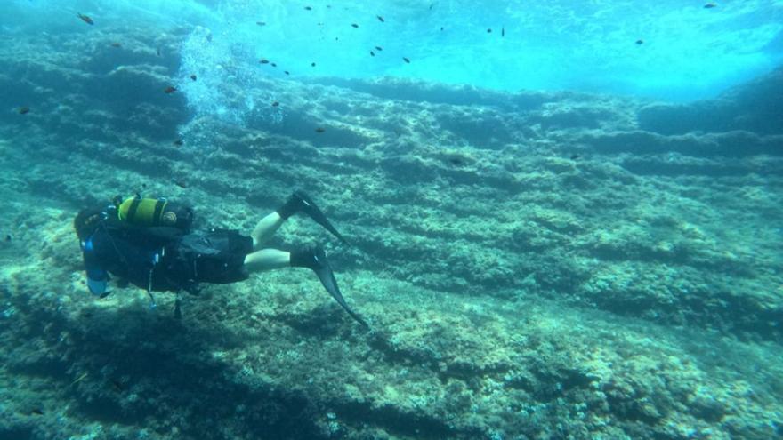 La reserva marina de interés pesquero de Cabo Tiñoso fue integrada en 2017.