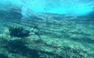 La reserva marina de Cabo Cope enfila ya su recta final